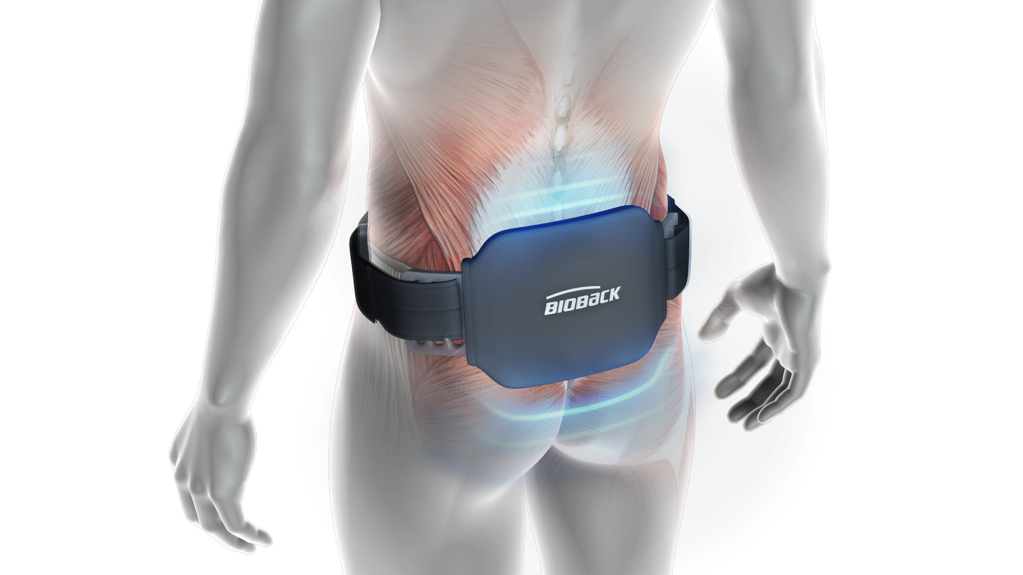 BioBack Product Visualization